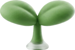 Little sprout