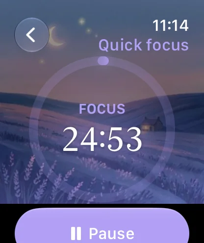 A focus session on Apple Watch
